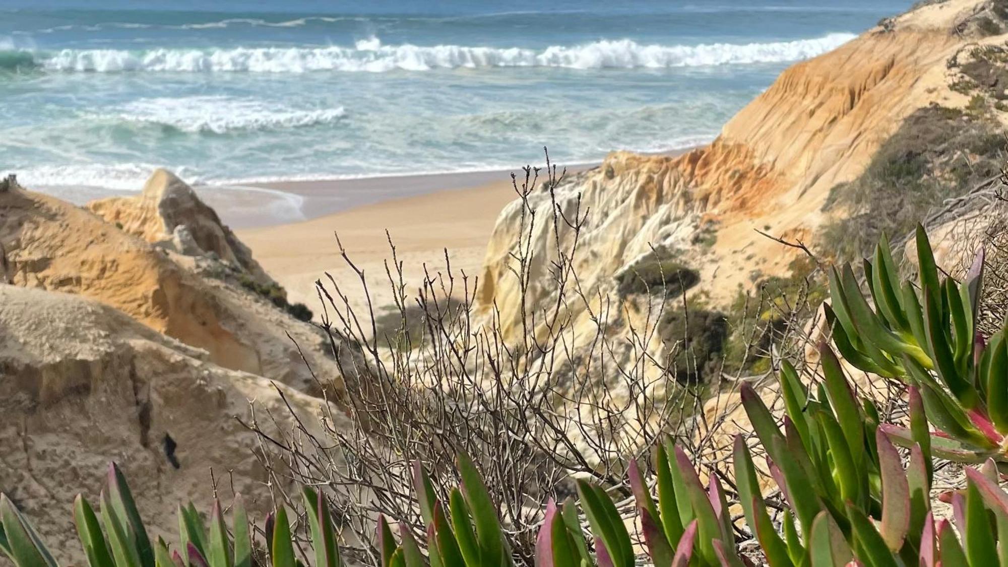 Sesmarias Dos Nobres Villa Azinheira dos Barros Buitenkant foto