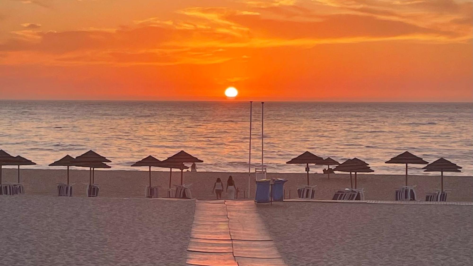 Sesmarias Dos Nobres Villa Azinheira dos Barros Buitenkant foto