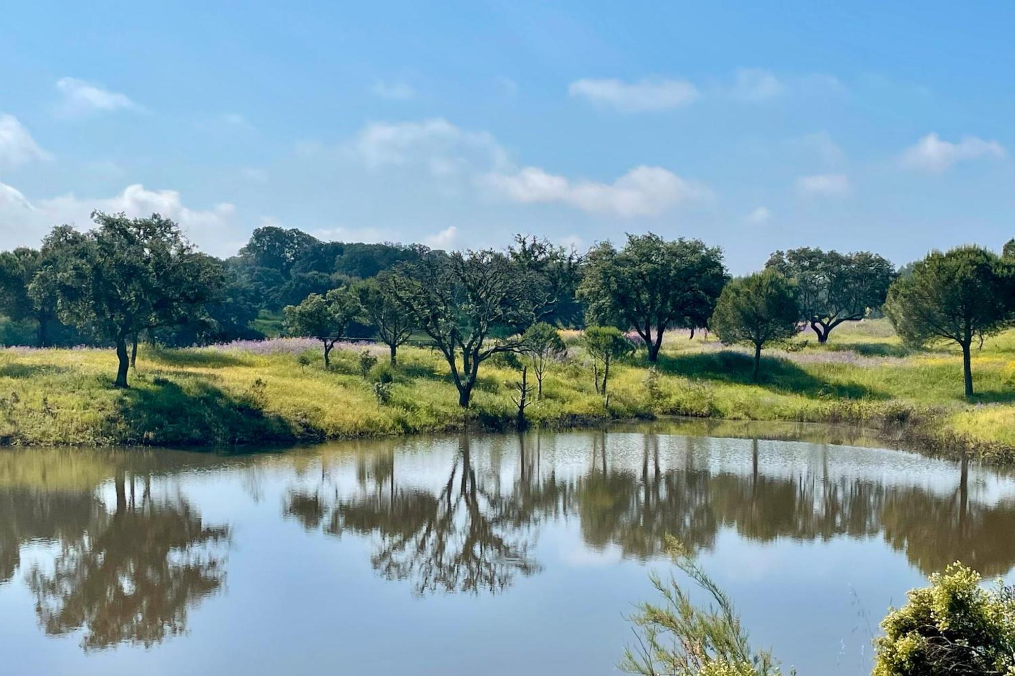 Sesmarias Dos Nobres Villa Azinheira dos Barros Buitenkant foto
