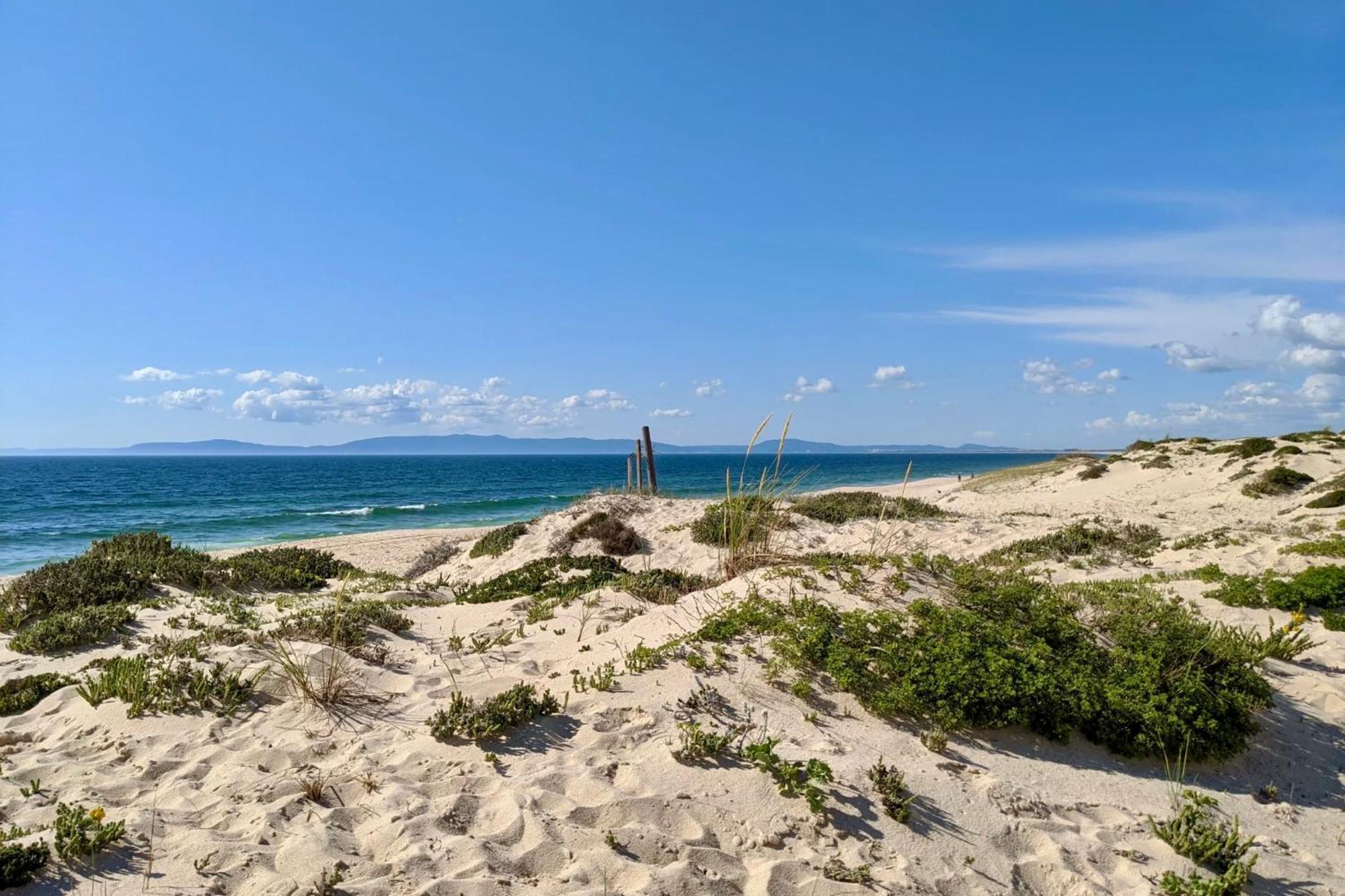 Sesmarias Dos Nobres Villa Azinheira dos Barros Buitenkant foto