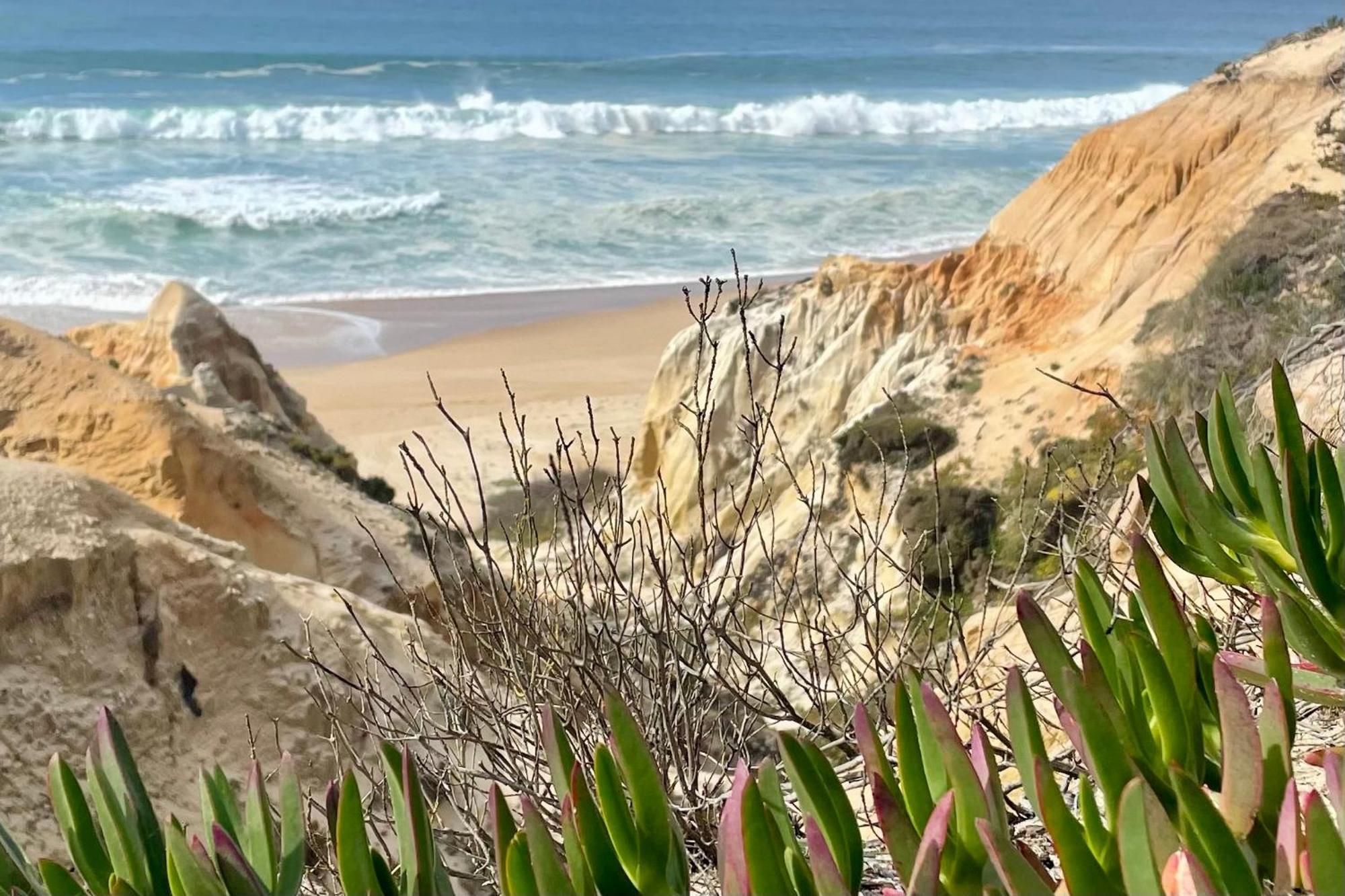 Sesmarias Dos Nobres Villa Azinheira dos Barros Buitenkant foto