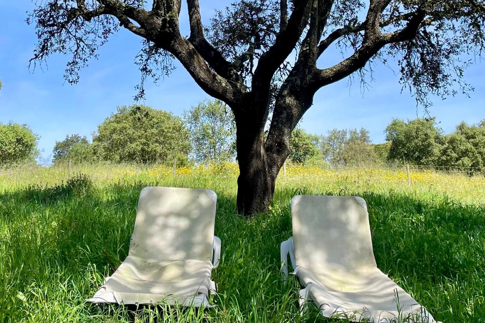 Sesmarias Dos Nobres Villa Azinheira dos Barros Buitenkant foto