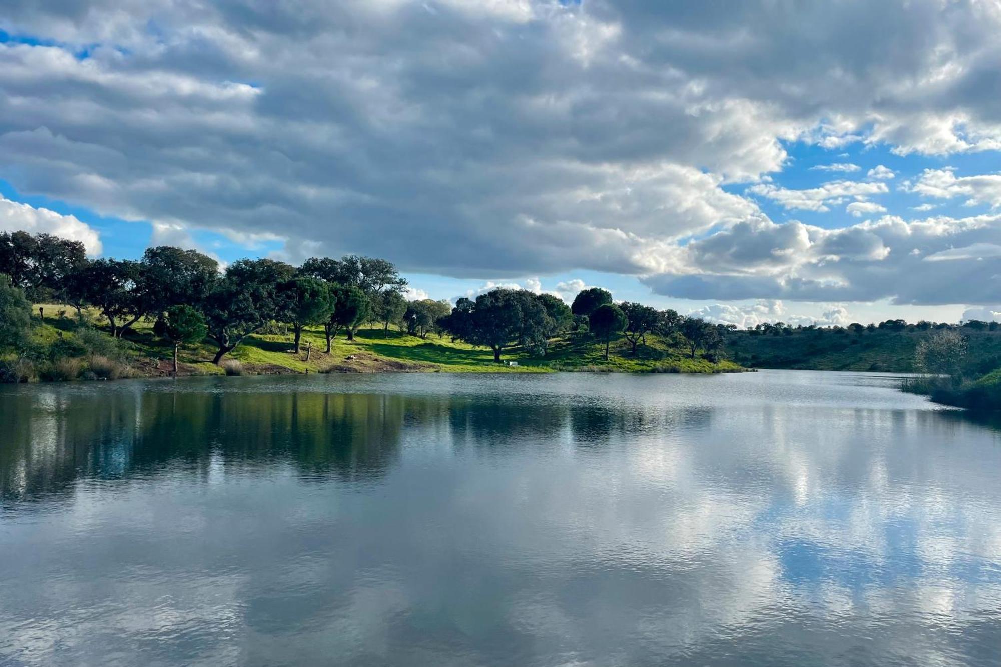 Sesmarias Dos Nobres Villa Azinheira dos Barros Buitenkant foto