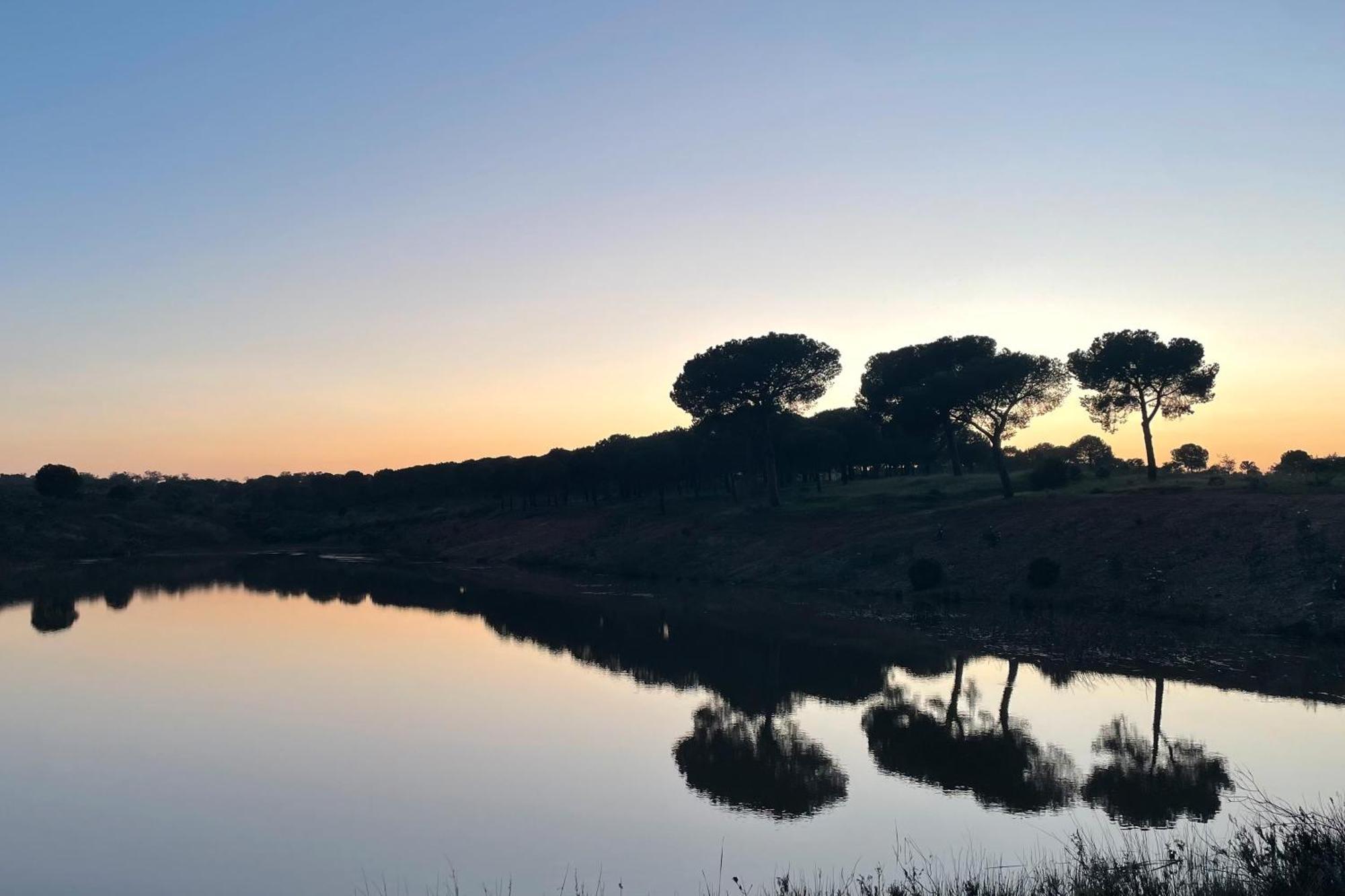 Sesmarias Dos Nobres Villa Azinheira dos Barros Buitenkant foto