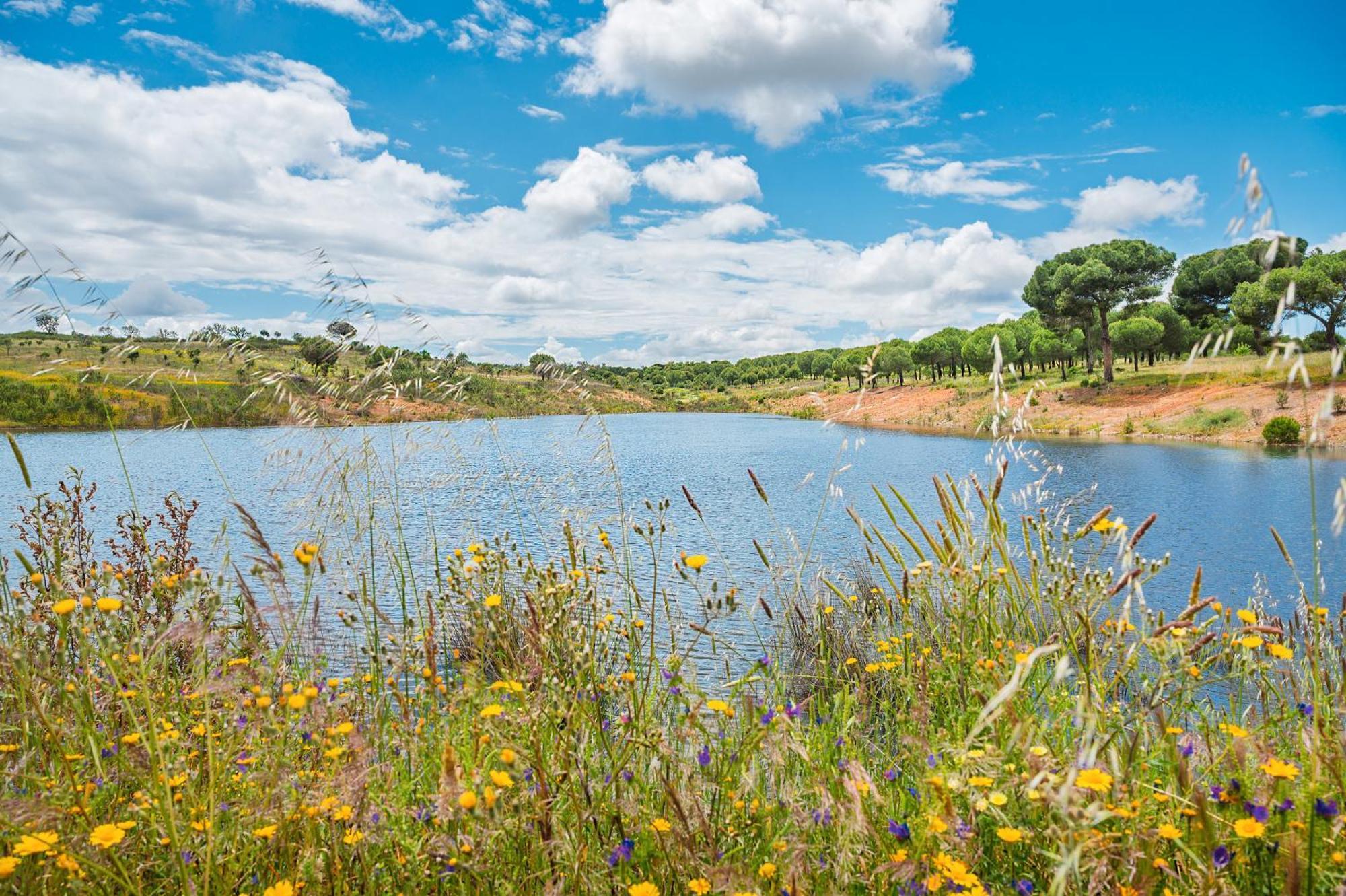 Sesmarias Dos Nobres Villa Azinheira dos Barros Buitenkant foto